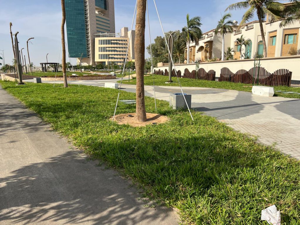Newly laid lawn and staked young trees beside a paved footpath in a landscaped park